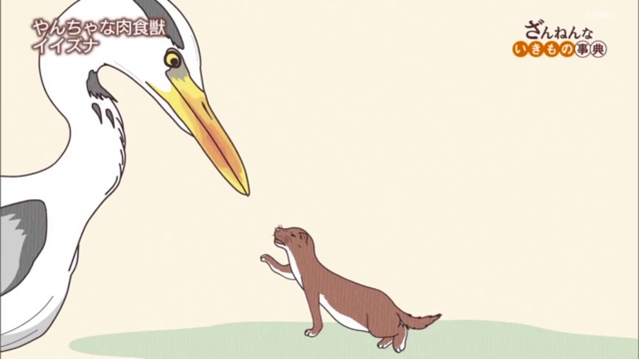 ざんねんないきもの事典 24話 動画 第24話 動画 21年3月24日 バラエティ動画倉庫 ドラマ動画 9tsu Tv